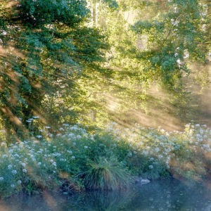 20-0503_017