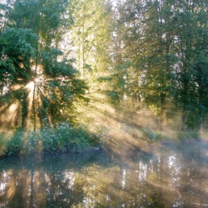 20-0503_019