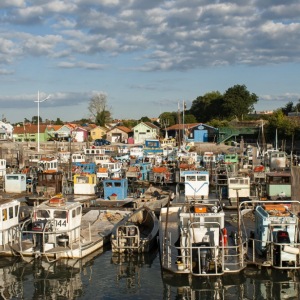 200608_Oleron_018
