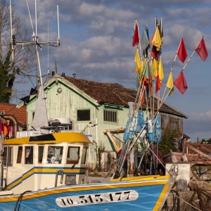 200608_Oleron_020