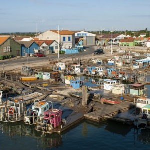 200608_Oleron_022