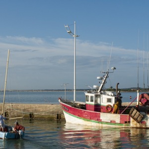 200608_Oleron_025