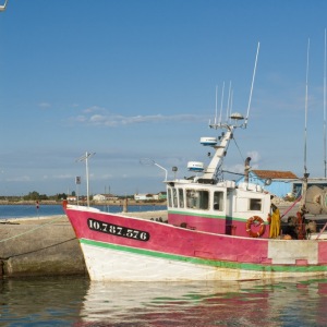 200608_Oleron_027