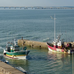 200608_Oleron_031