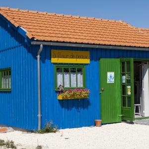 200608_Oleron_052