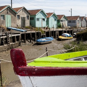 200608_Oleron_055