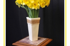 Jonquilles_AB09-0320_0290