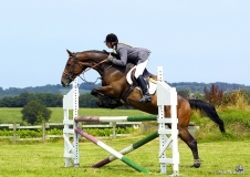 Cavaliere_010308