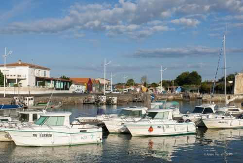 Chateau d'Oléron : le port