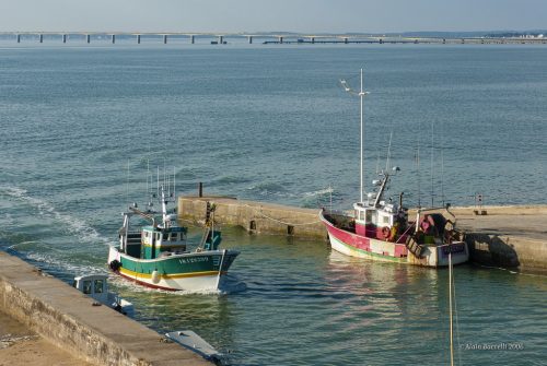 Chalutier rentrant au port du Château d;Oléron