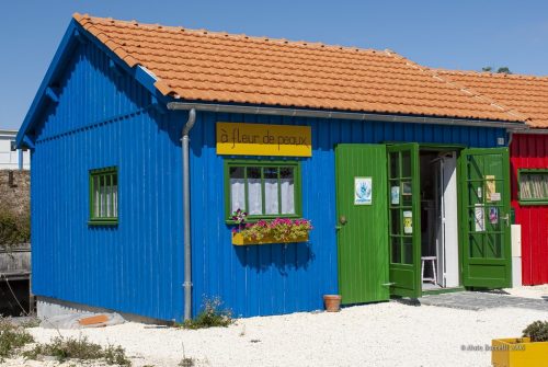 Cabanes d'artiste très colorée