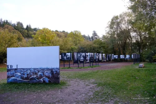 Festival Photo Gacilly 2020 139