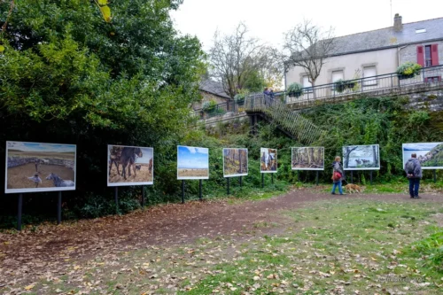 Festival Photo Gacilly 2020 181
