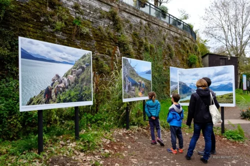 Festival Photo Gacilly 2020 183